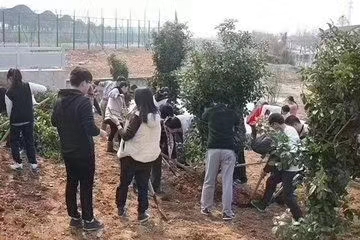 瑞联节能植树节植树活动