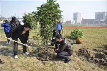 大家热情参与植树节活动